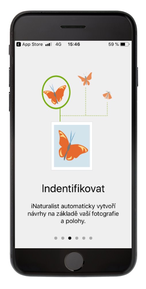 iNaturalist – identifikovat