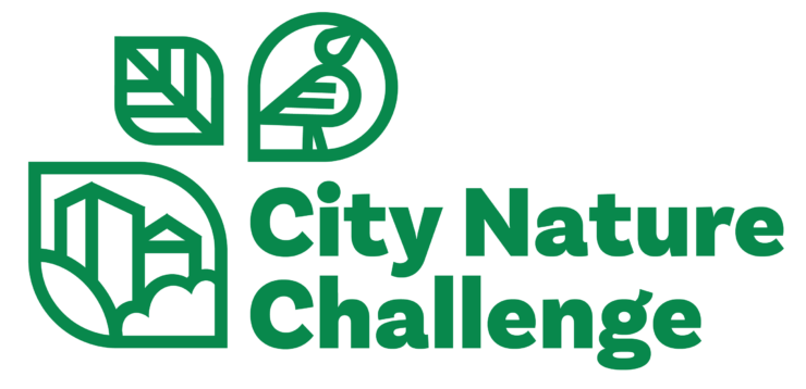 City Nature Challenge